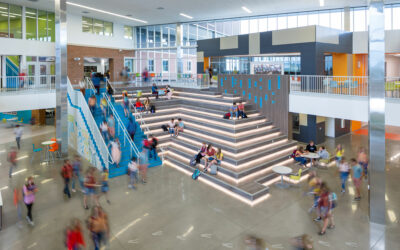 The Ecology of Education: Designing Optimal, Evolving Learning Environments