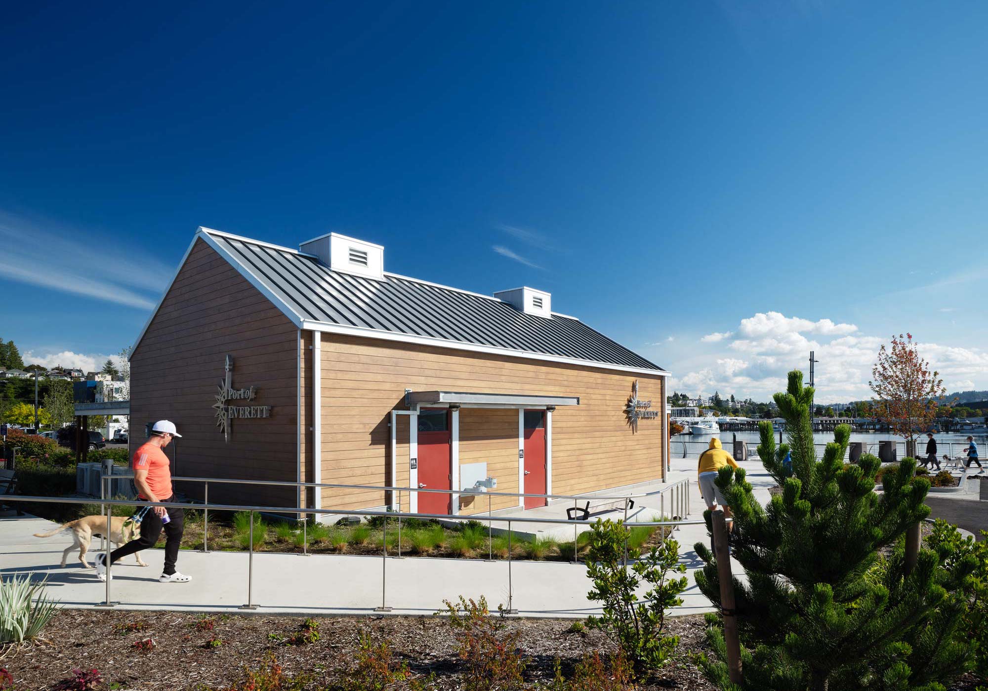 portfolio image