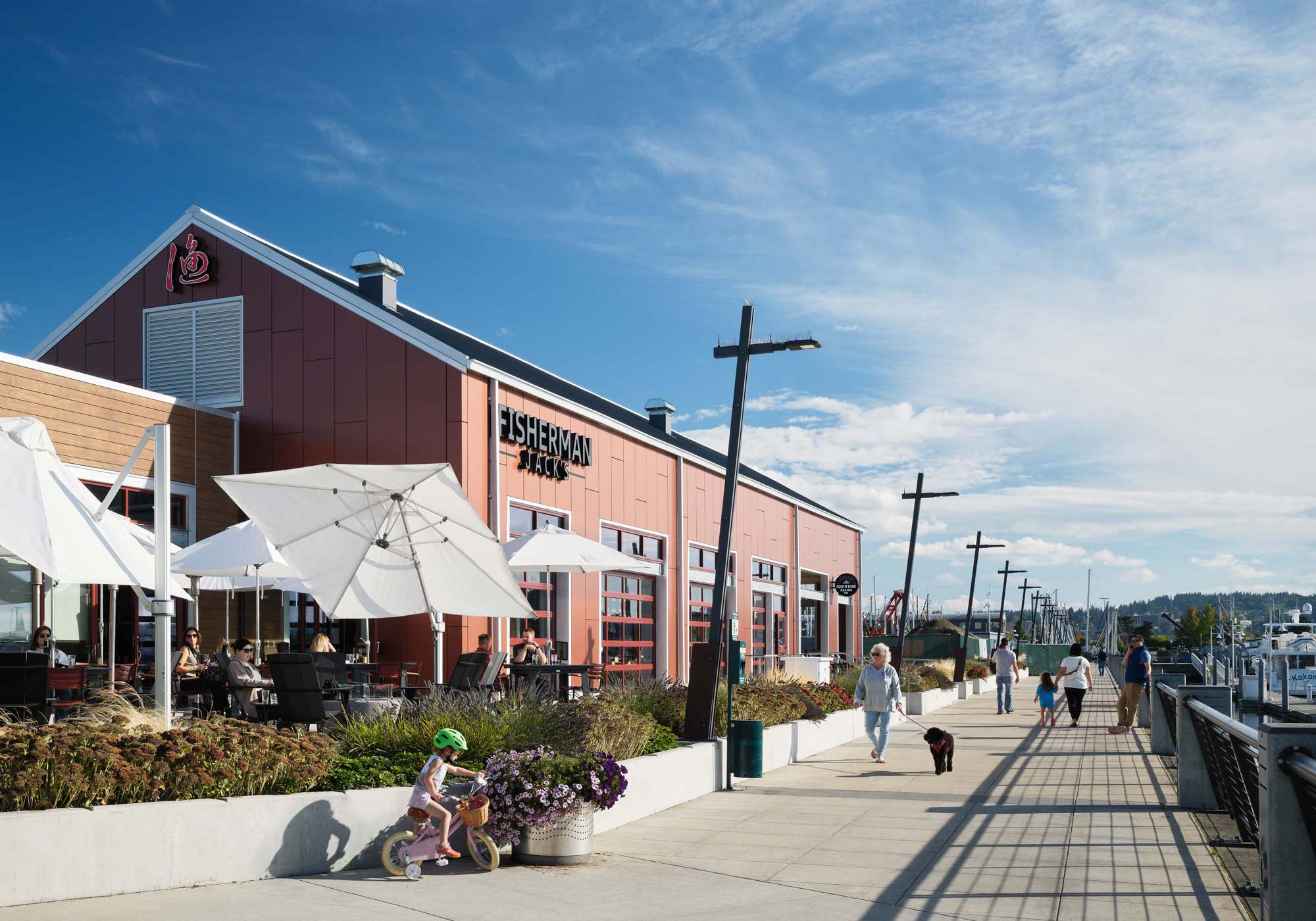 portfolio image