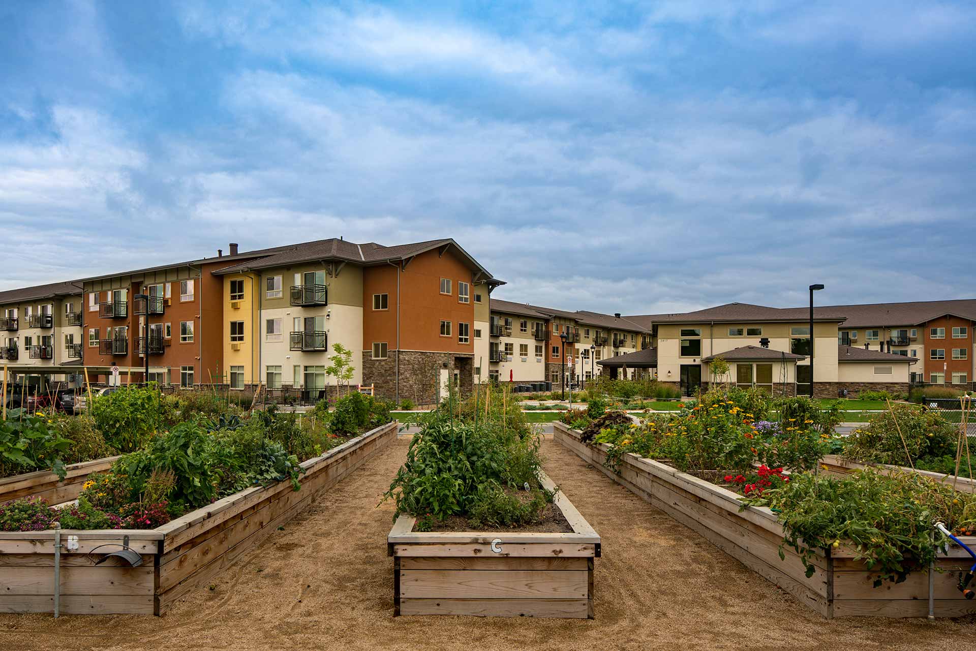 portfolio image