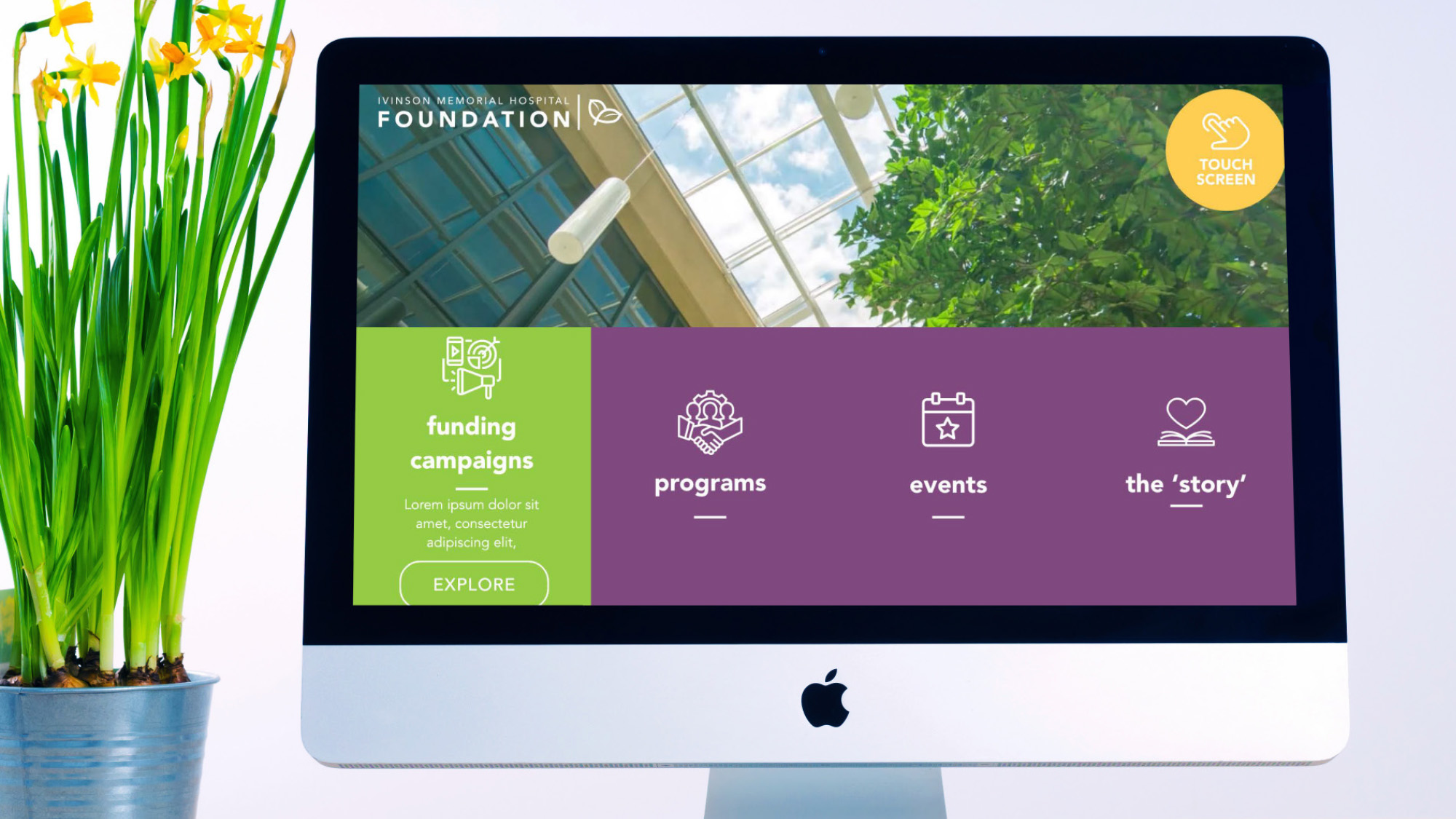 portfolio image