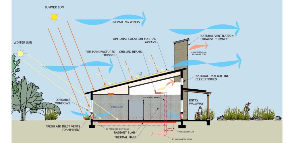 An Energy Expert Answers the Question: What Is Carbon Neutrality?