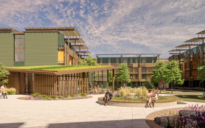 Whole Building Decarbonization