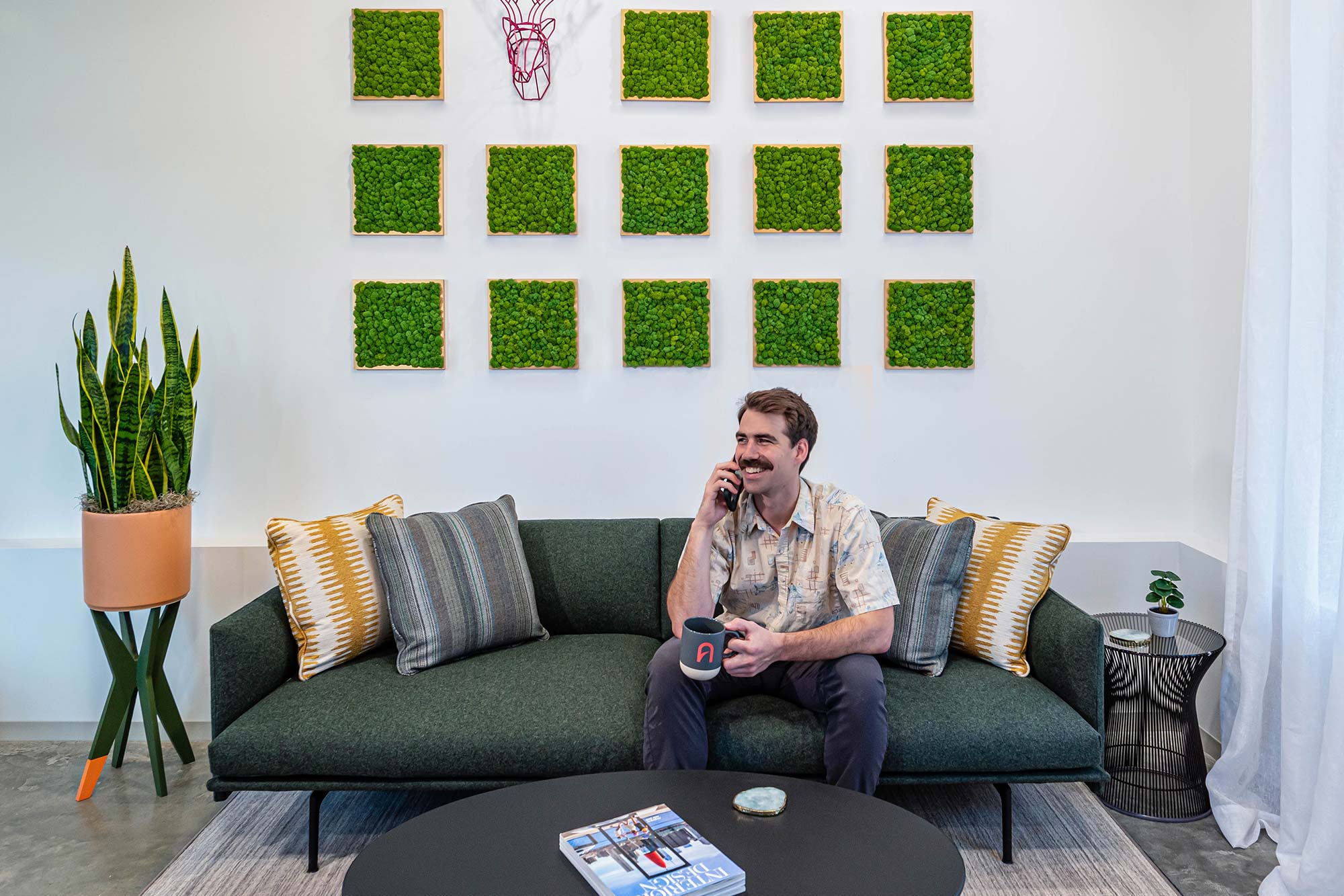 portfolio image