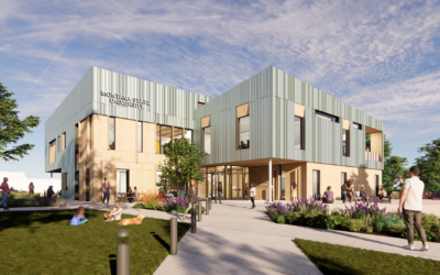 Creating Cohesive, Local Learning Environments for Nursing Professionals