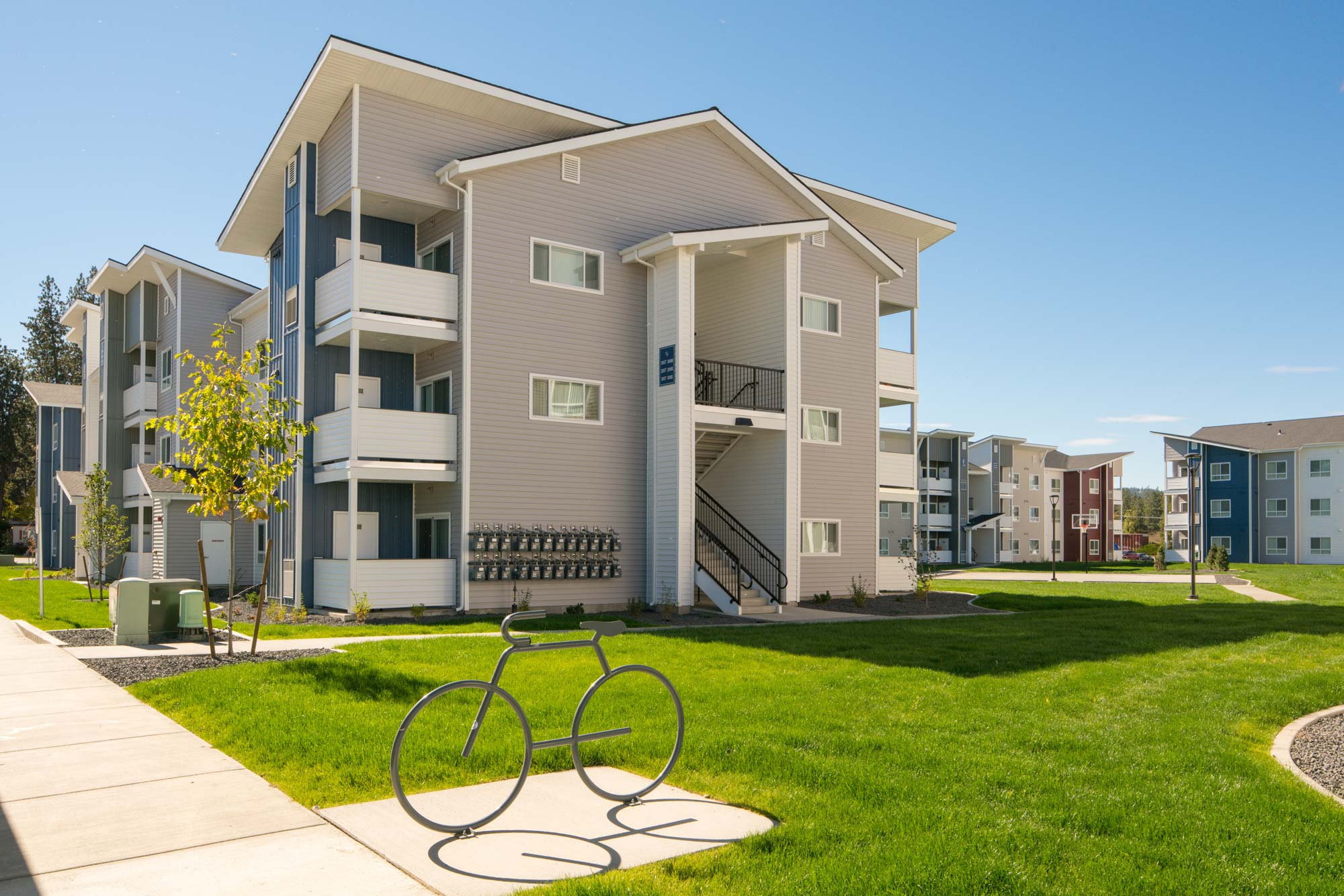 portfolio image
