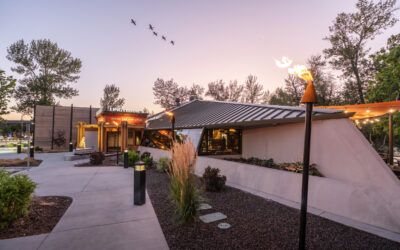 Ling & Louie's Asian Bar and Grill: A Restaurant Transformed