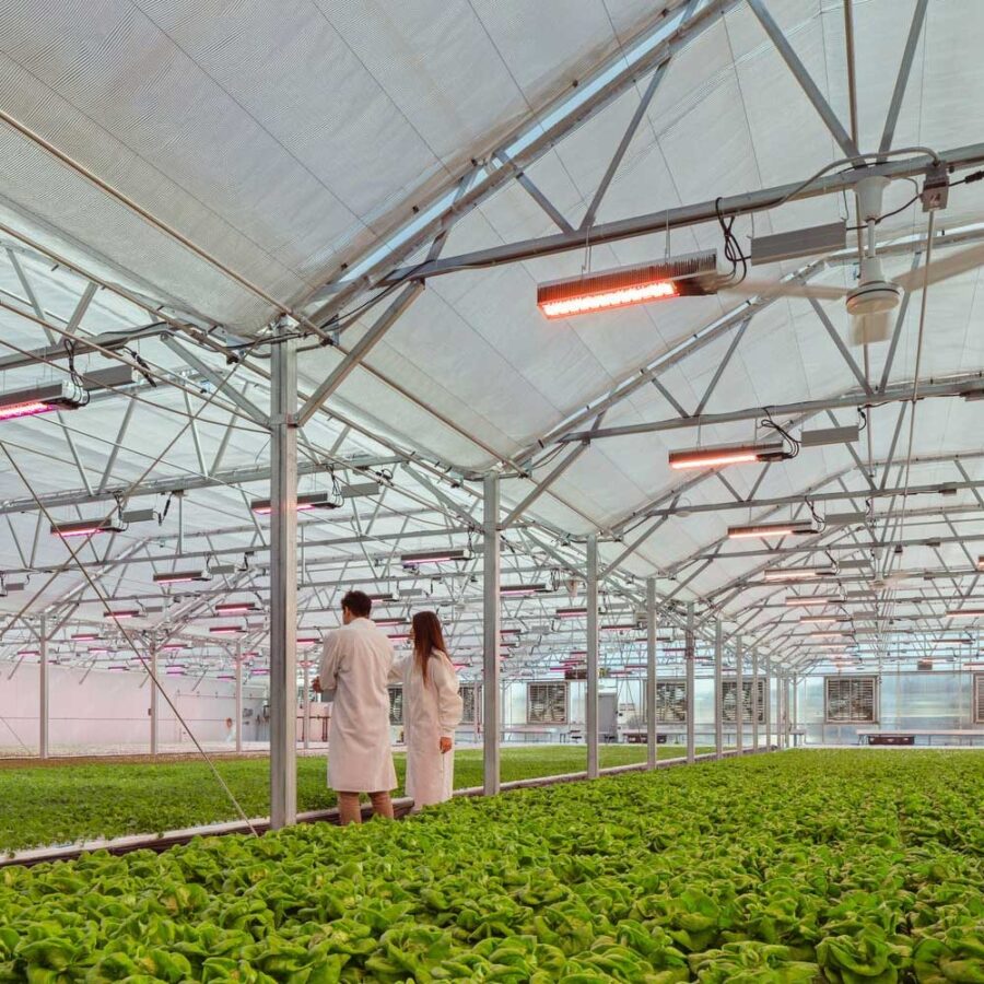 Greenscale Aquaponics Facility